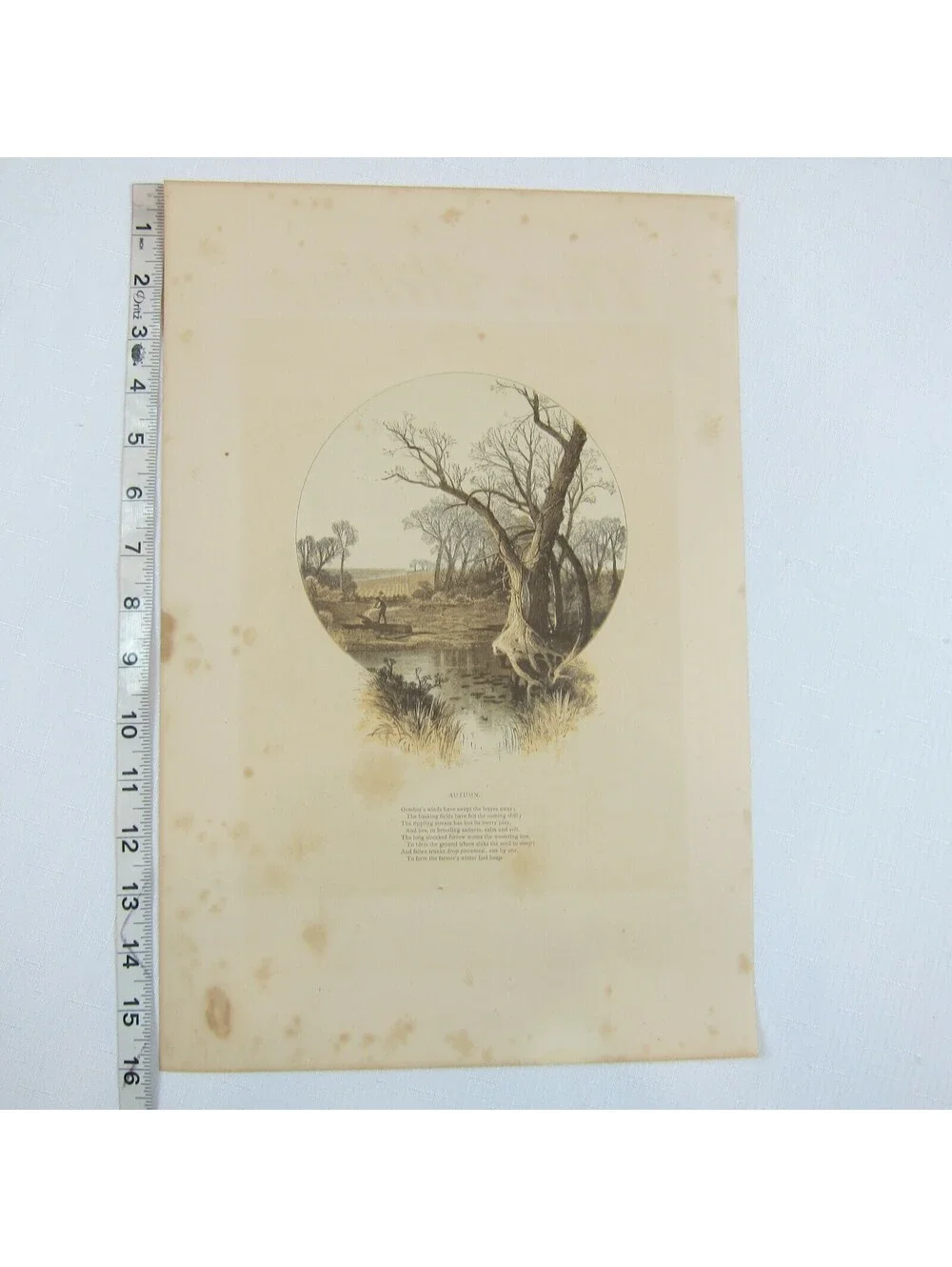 Antique 1870s Engraving Print The Aldine Farm & Stream in Autumn Fall Trees Poem